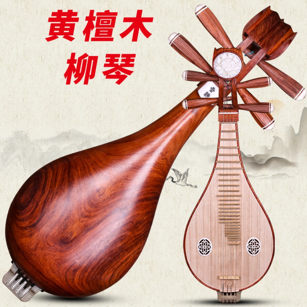 آلة ليوتشين الصينية التقليدية  - مراجعة Musical Instrument Music وسعره