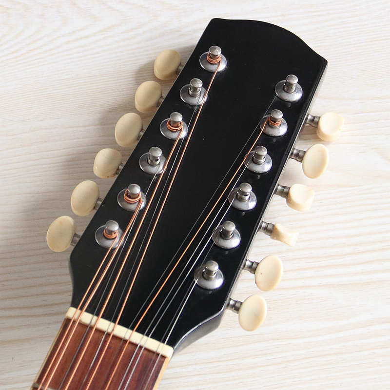 جيتار كهربائي أكوستيك بـ 12 وت - مراجعة Dobro Resonator Guitar وسعره