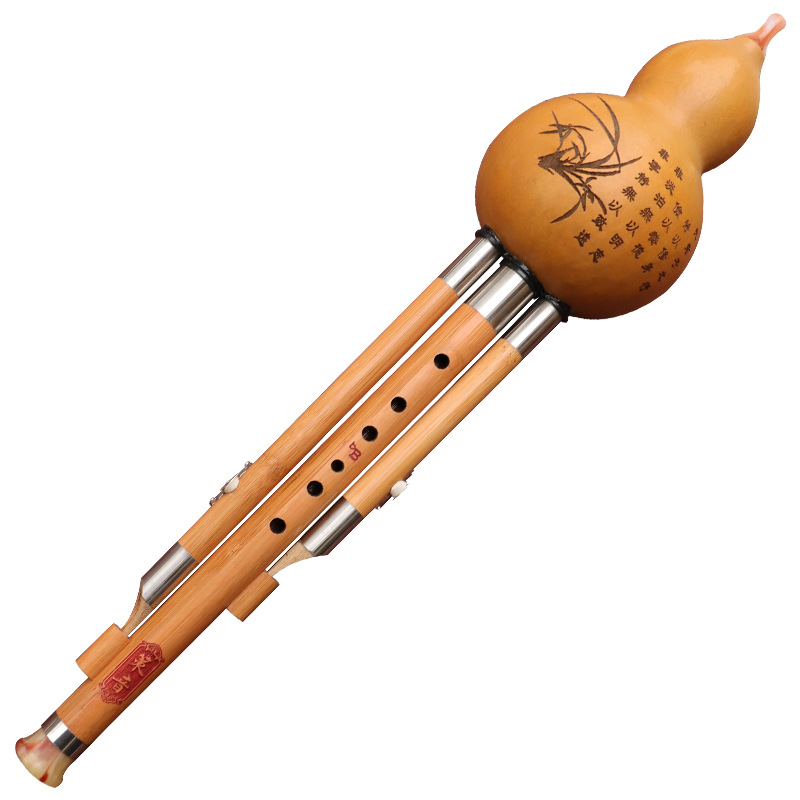 آلة موسيقية من الحرير على شكل  - مراجعة Musical Instrument Blow وسعره